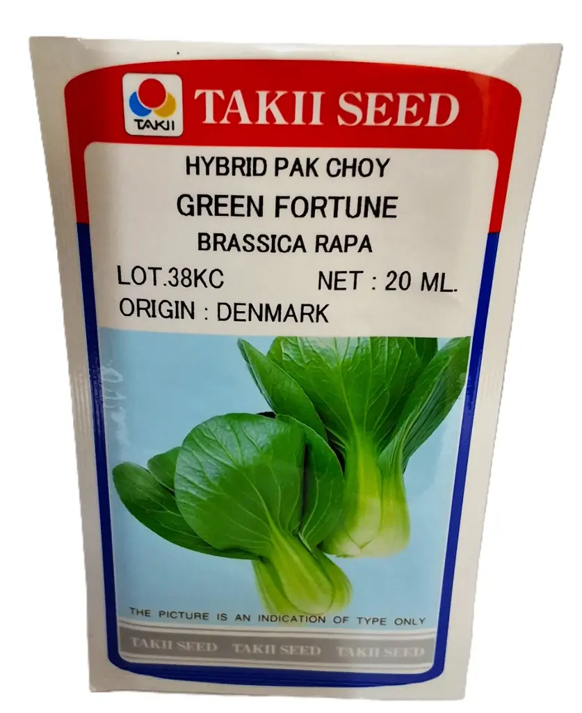 [138883] Seed Takii Pak Choy Grn Fortune HYB 20 