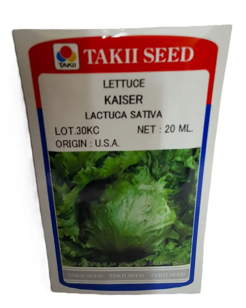 Seed Takii Lettuce Kaiser 20