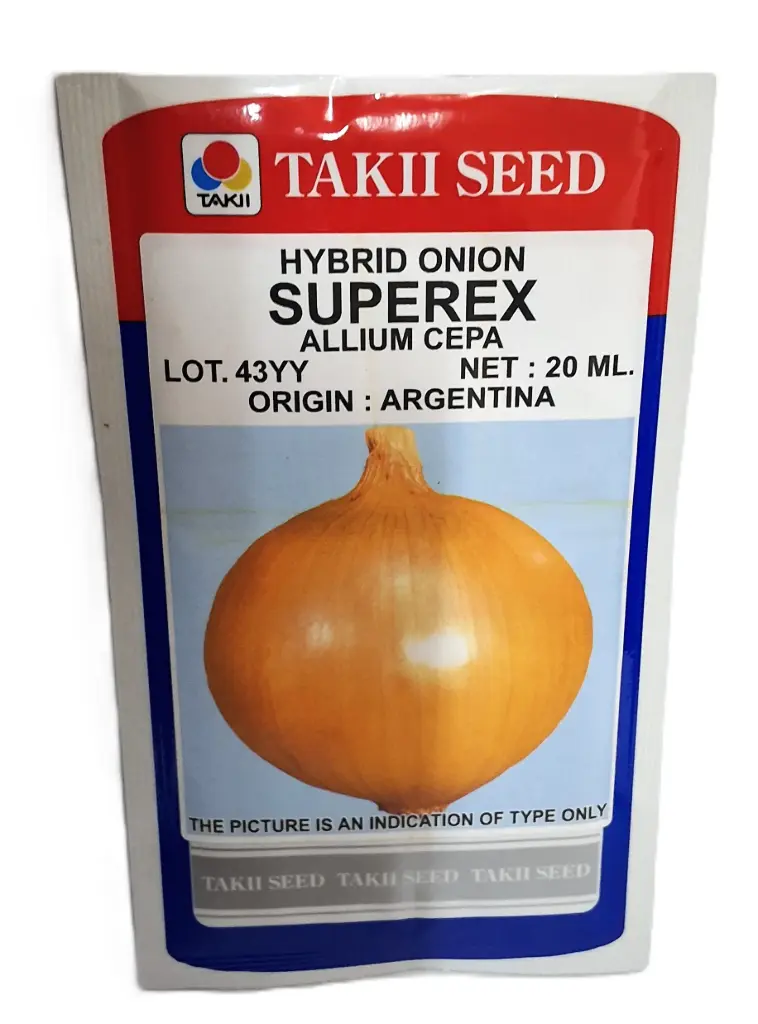 Seed Takii Carrot New Kuroda 20 