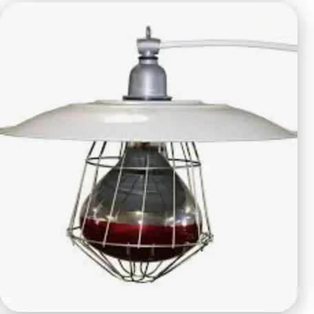 Chicken Heater Lamp MS530