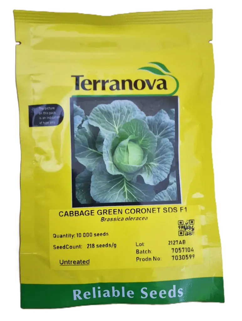 Seed Terranova Cabbage Green Coronet F1 45g  