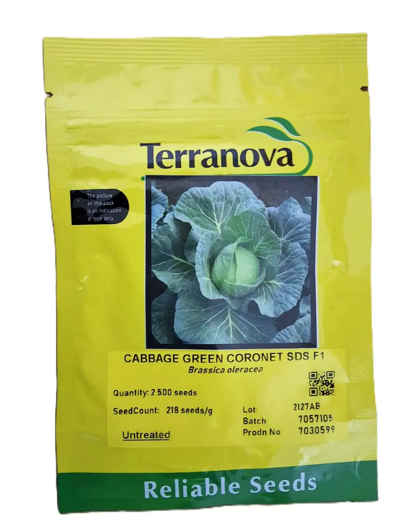 [SD0433] Seed Terranova Cabbage Green Coronet F1 11g  