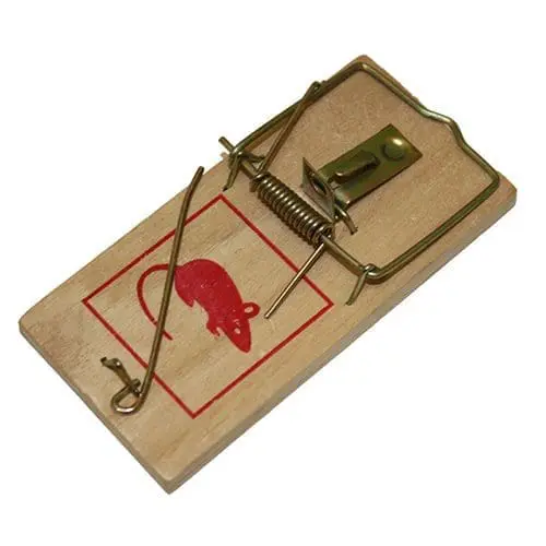 Mouse Trap Plastic