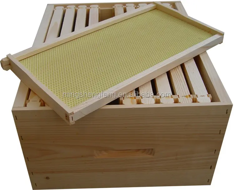 Bee Hive Wooden Langstroth 48.3*44.8*23.2cm 