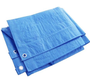 Tarpaulin Blue 30'X30' 110gsm