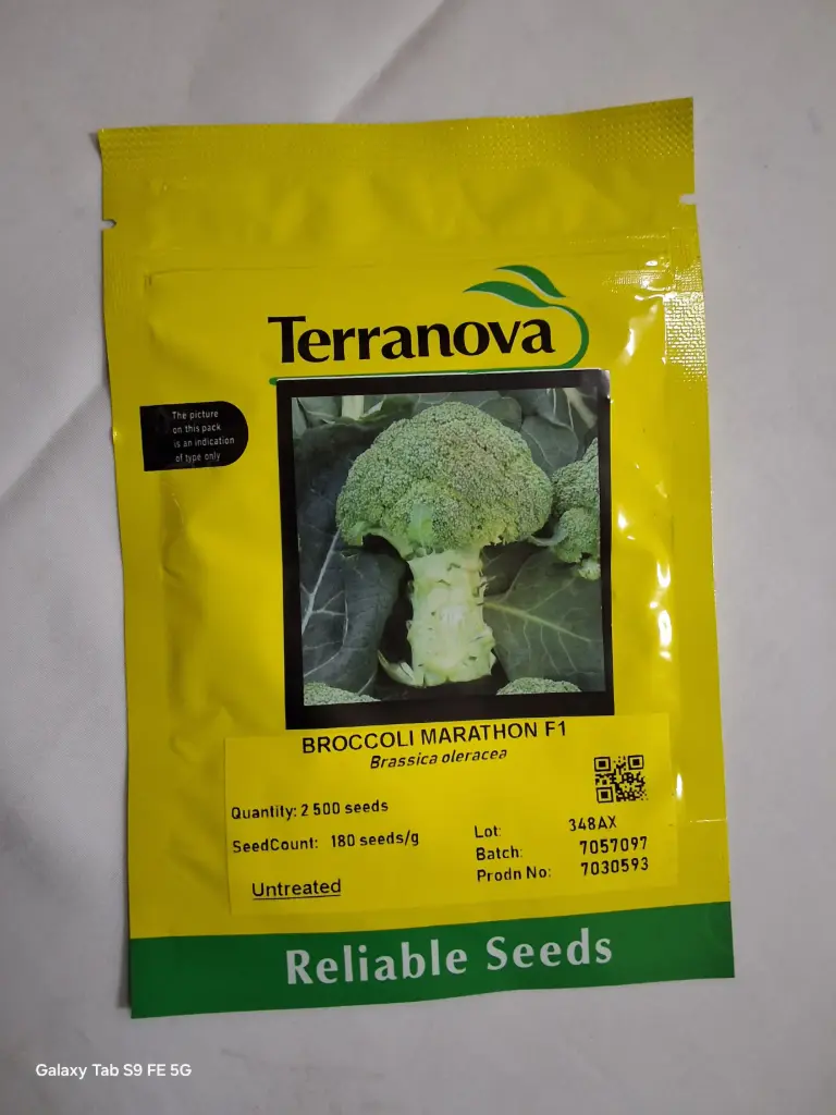 [SD0257] Seed Broccoli Marathon F1 2.5M 19g Terranova