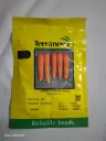 Seed Carrot New Kuroda 25G Terranova