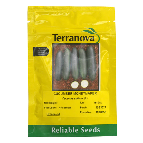Seed Cucumber Moneymaker 25G Terranova