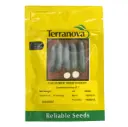 Seed Cucumber Moneymaker 25G Terranova