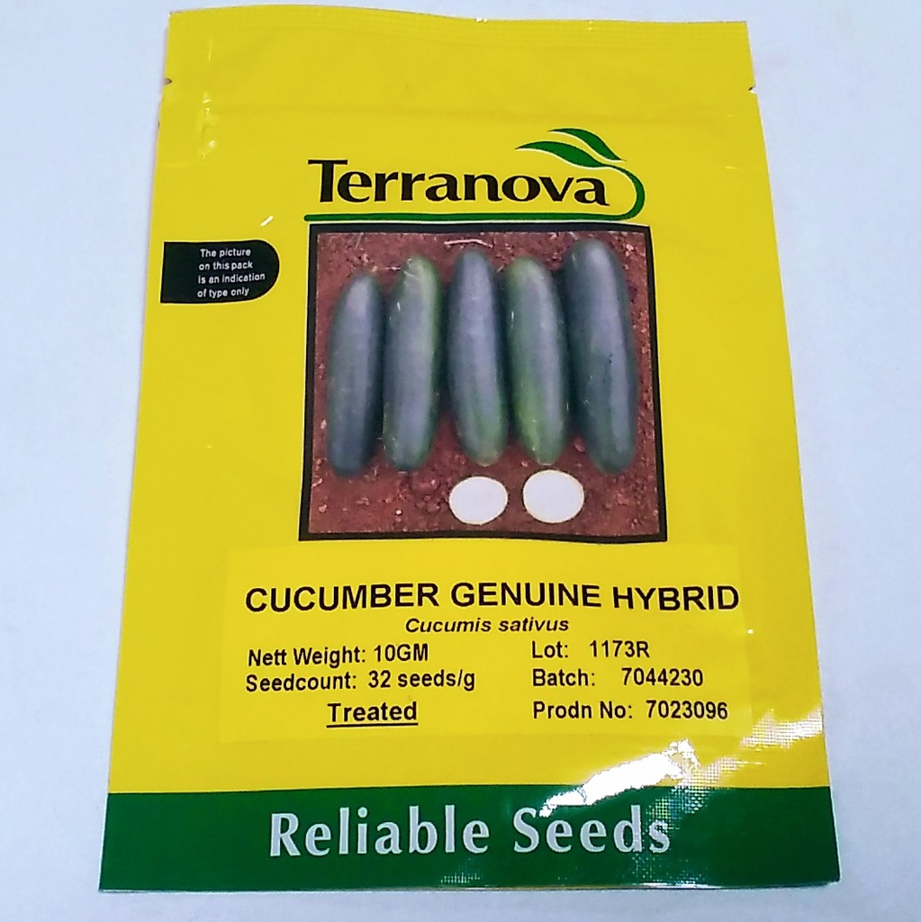 [SD0271] Seed Cucumber Genuine F1 10G Terranova