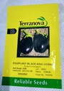 Seed Eggplant Black King F1 5G Terranova