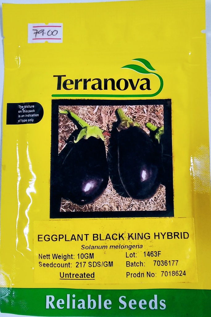 [SD0273] Seed Eggplant Black King F1 10G Terranova