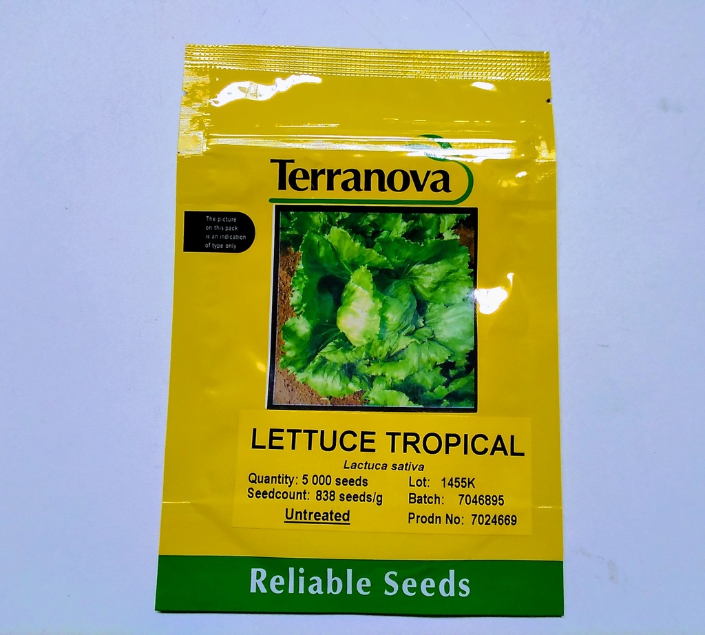 [SD0274] Seed Lettuce Tropical 5m 5000sds 6g Terranova