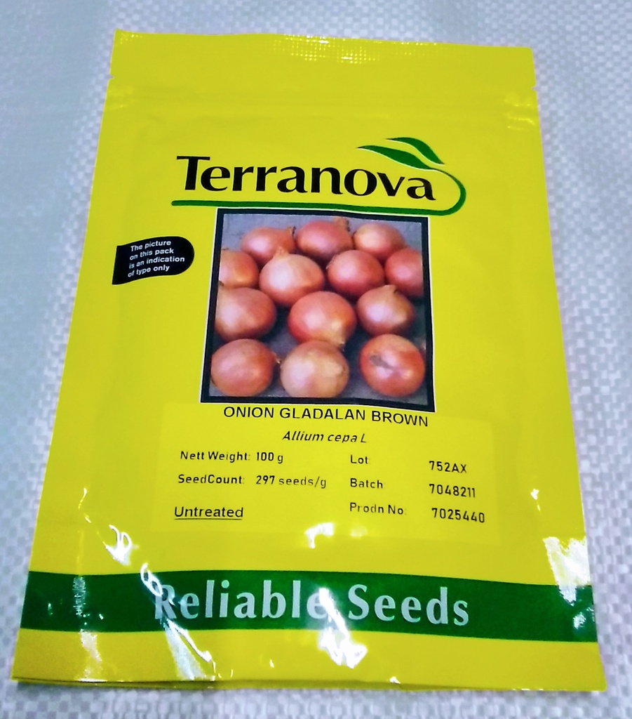 [SD0276] Seed Onion Gladalan Brwn 100g Terranova