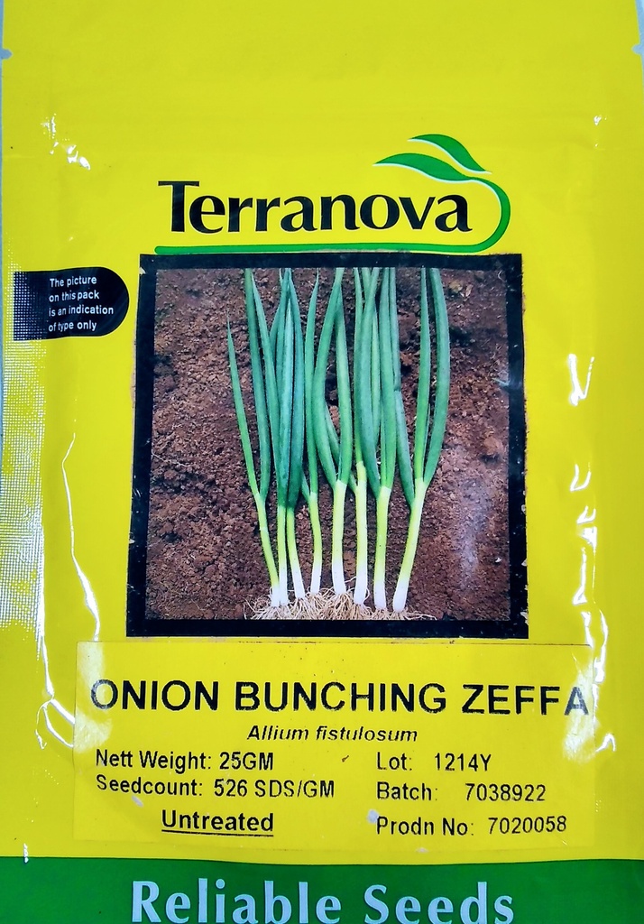 [SD0277]  Seed Terranova Onion Zeffa 25g 