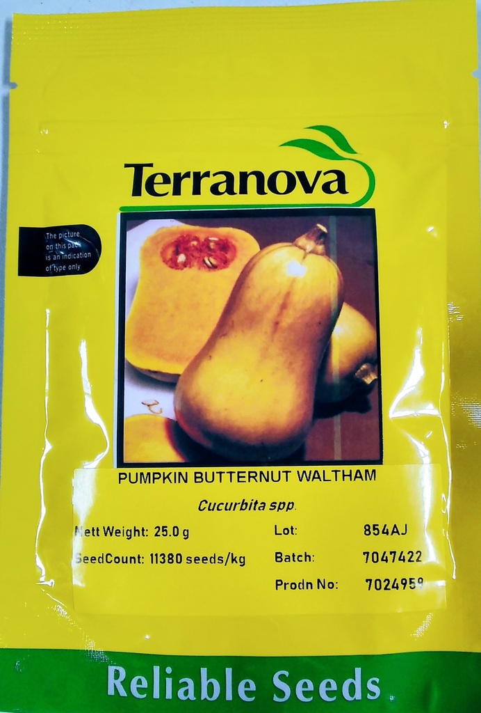 Seed Pumpkin B/Nut Waltham 25g Terranova