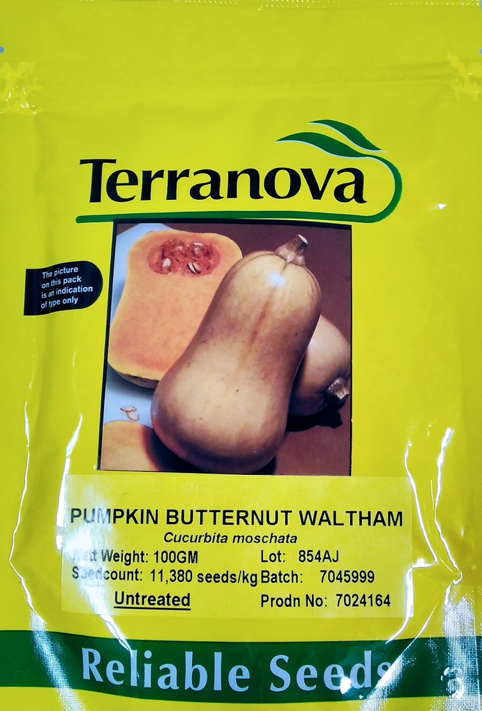 [SD0280]  Seed Terranova Pumpkin B/Nut Waltham 100g 