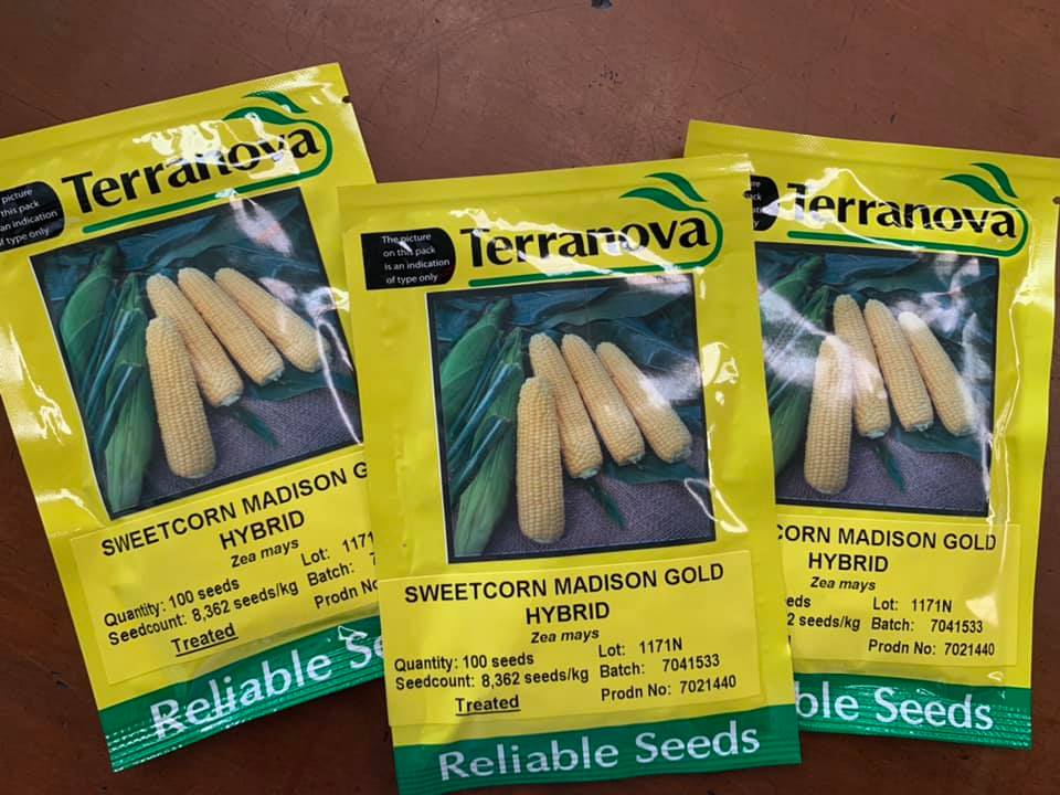 Seed Corn Sweet Madison Gold F1 1000sds 150g Terranova