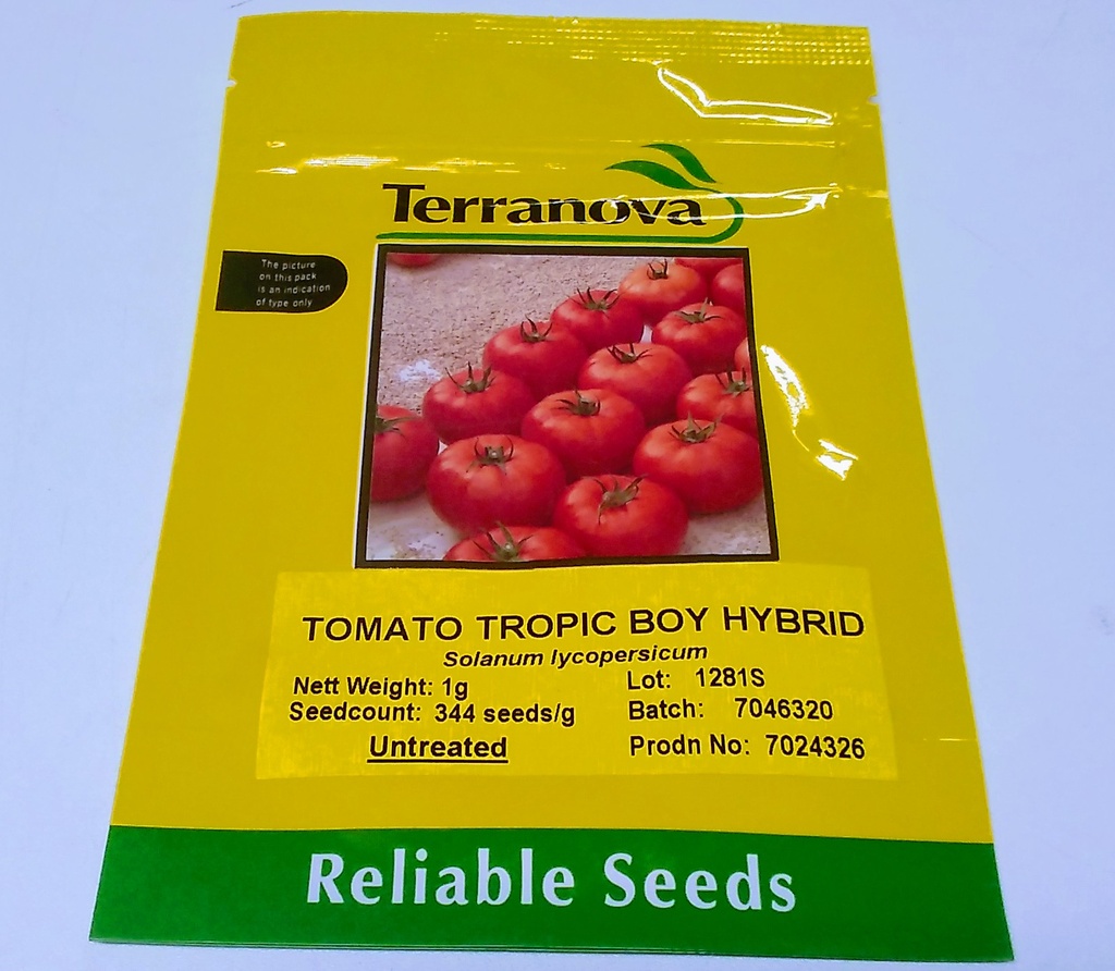  Seed Terranova Tomato Tropic Boy F1 1g 
