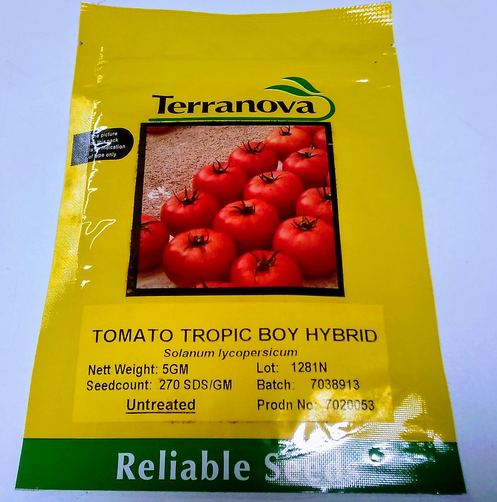 [SD0283] Seed Tomato Tropic Boy F1 5g Terranova