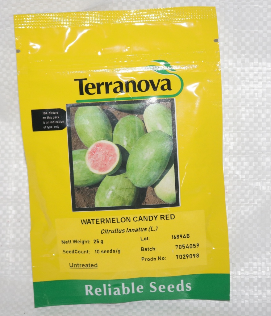 Seed Terranova Watermelon Candy Red 25g 