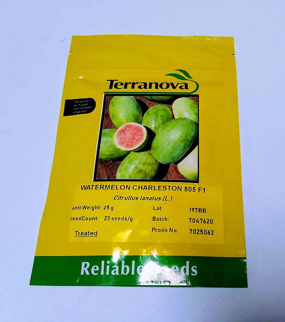 [SD0287] Seed Watermelon Charleston 25g Terranova