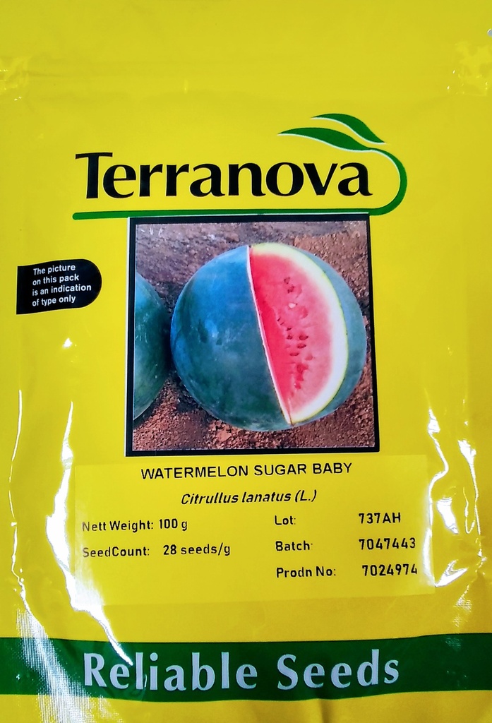 Seed Terranova Watermelon Sugar Baby 100g 
