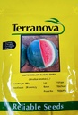 Seed Terranova Watermelon Sugar Baby 100g 