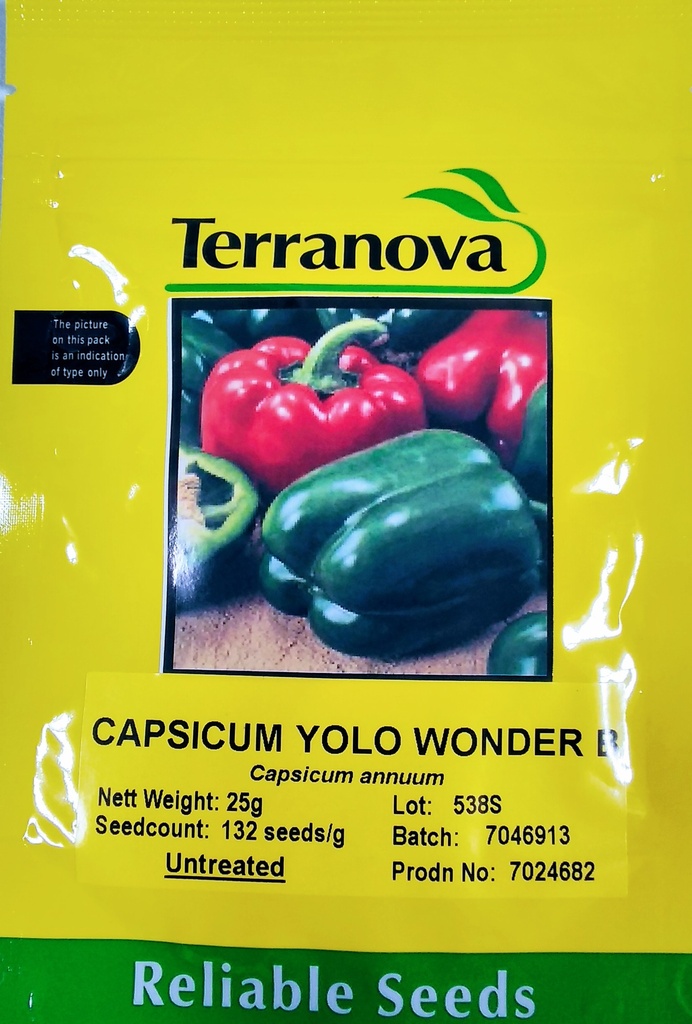 [SD0293] Seed Terranova Capsicum Yolo Wonder B 25G 