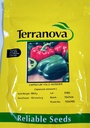 Seed Capsicum Yolo Wonder B 100G Terranova