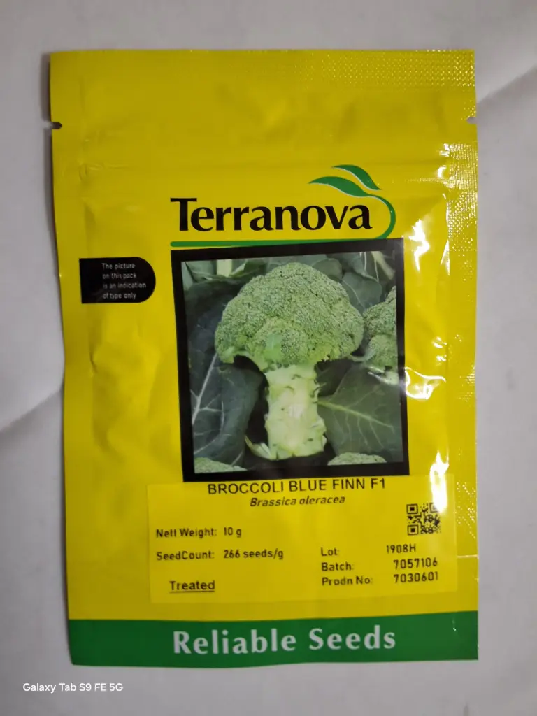 [SD0296] Seed Broccoli Blue Finn F1 10G Terranova