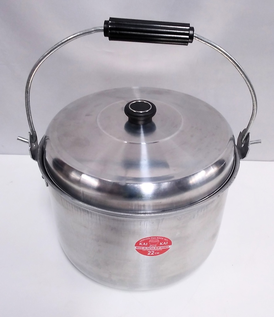 Pot Couldron KKC 22cm 