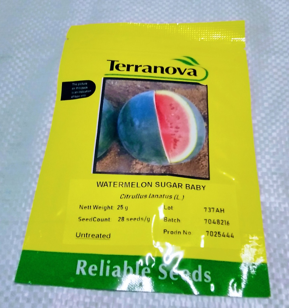 [SD0290] Seed Watermelon Sugar Baby 25g Terranova