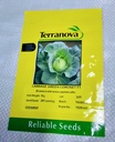 Seed Cabbage Green Coronet F1 10g Terranova